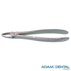 Extraction Forceps