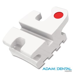 Brackets Reflections Standard Edgewise