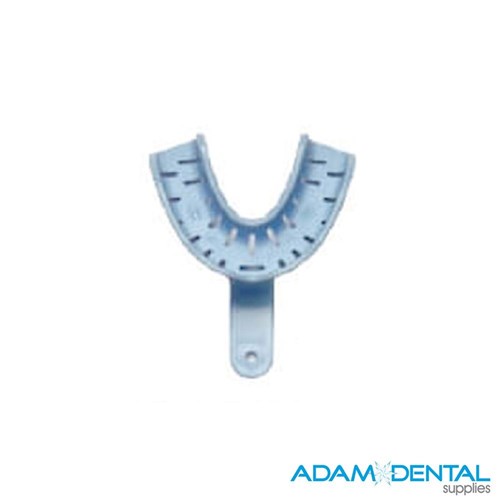 Dentate Lower Medium