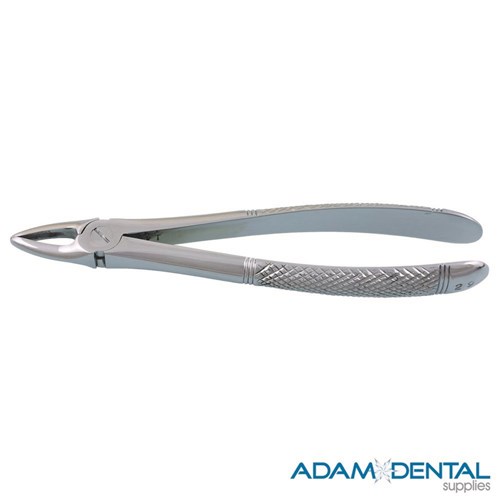 Upper Anterior Roots Straight