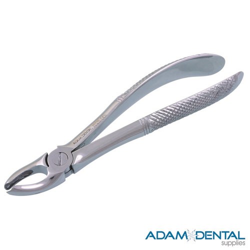 Upper Molars Right Side