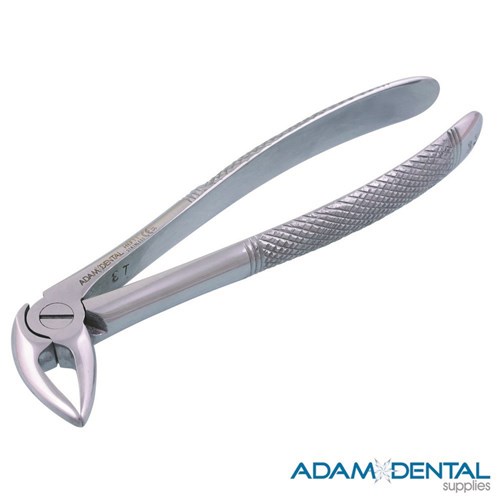 Lower Roots & Incisors