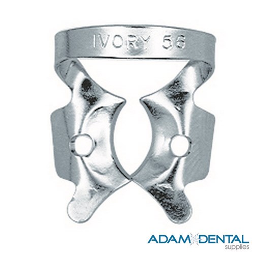 Molar Winged 56 All Large Molars