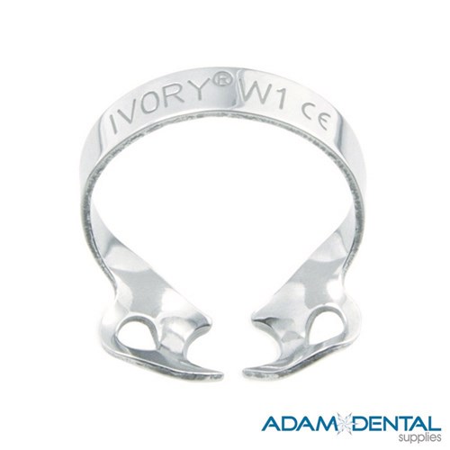 Premolar Wingless W1 General Purpose Upper