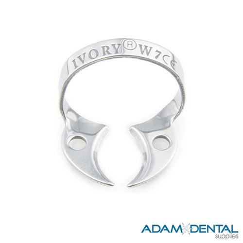 Molar Wingless W7 General Purpose Lower Square Teeth