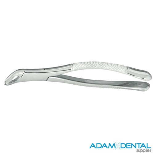 Upper Universal Anatomical Beaks # 151AS