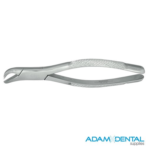 Lower Molar Pedodontic Cowhorn #23S