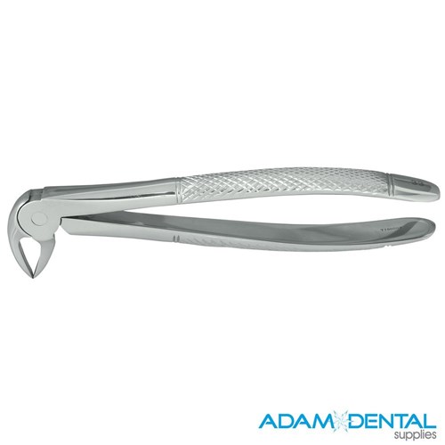 Lowar Roots English Pattern #33