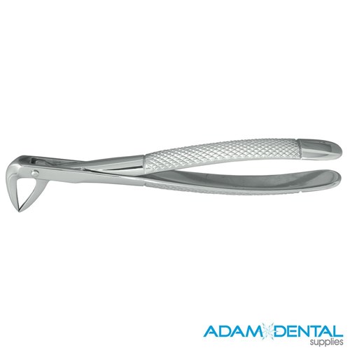 Lower Roots English Pattern #74