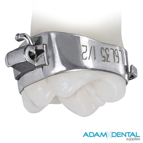 TruFit 2.0 ASM 022 SE LL6  NC SBT 0T 0Off 38.5 Size 3/pk