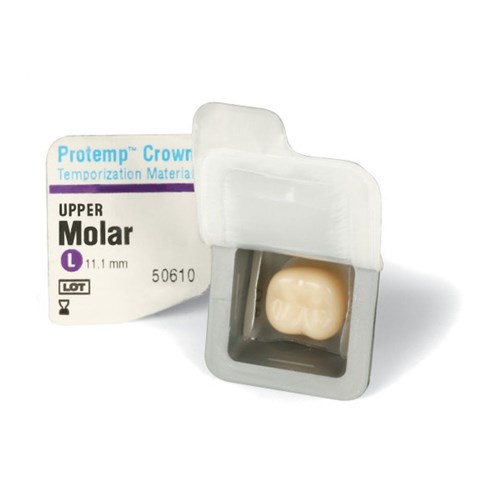 Molar Upper Large